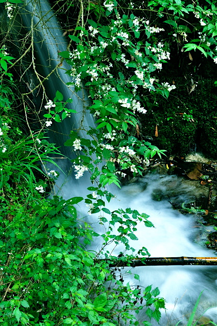 b0143293_10263190.jpg