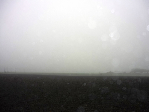 f0029393_6161767.jpg