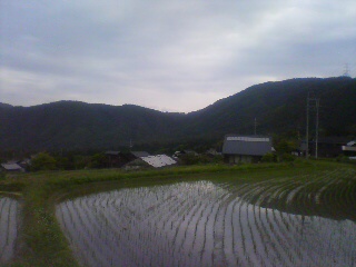 a0061599_6593253.jpg