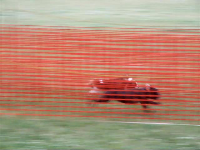 c0044199_2242023.jpg