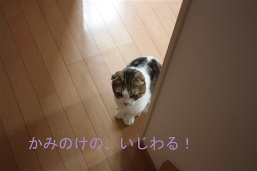 e0149299_111254.jpg