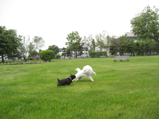 d0009101_13315612.jpg