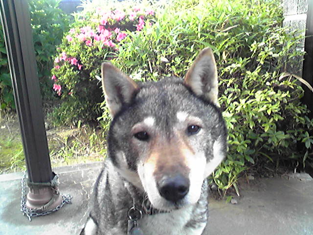 f0079202_17505728.jpg