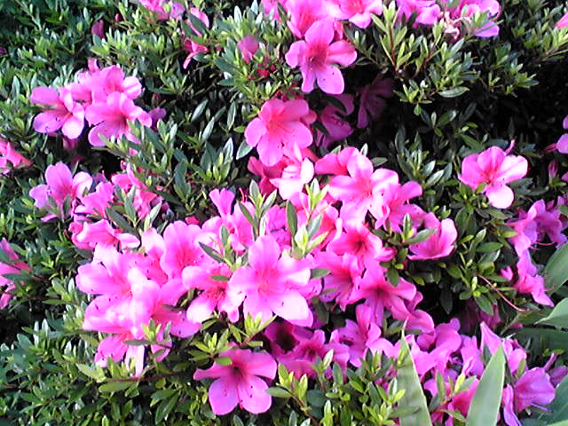 f0079202_17505743.jpg
