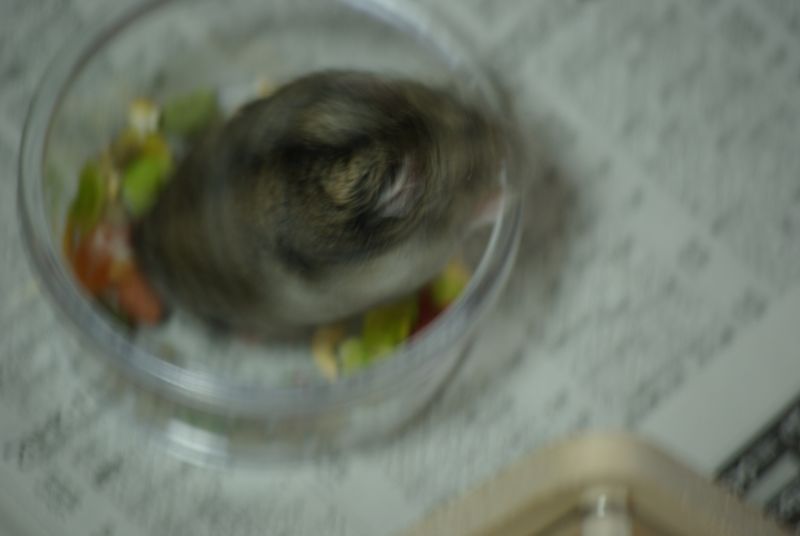 c0187503_17244767.jpg