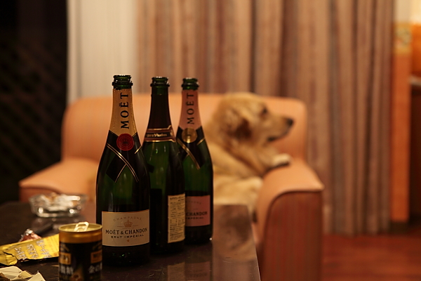 e0117503_2010307.jpg