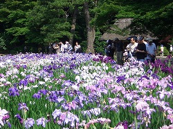 c0187004_22523828.jpg