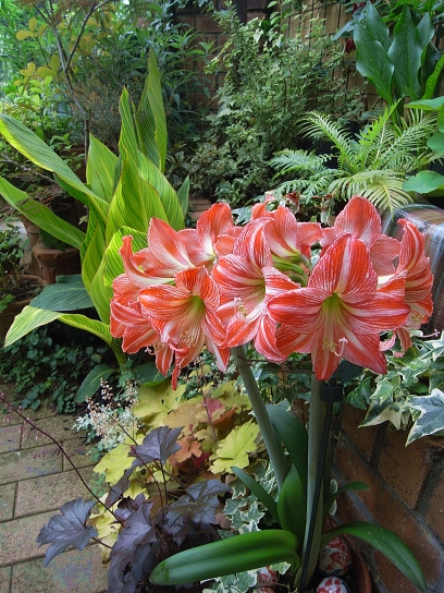 f0065604_224953.jpg