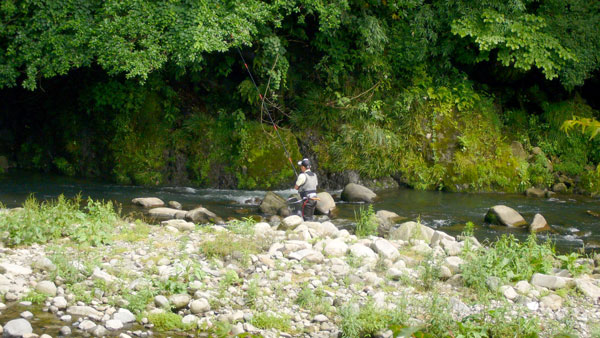 a0071805_10154879.jpg