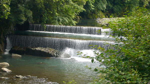 a0071805_1062333.jpg