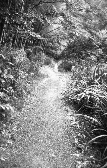 c0171206_17111244.jpg