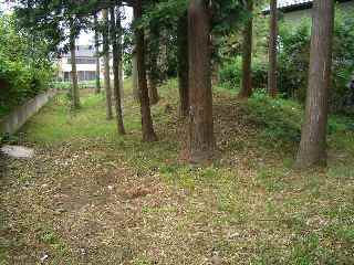 c0051112_2175716.jpg