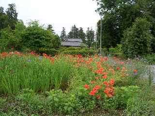 c0051112_2181438.jpg