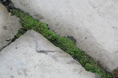 e0102713_16215019.jpg