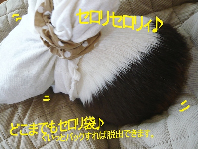 b0181615_1218539.jpg