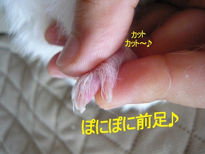 b0181615_1264767.jpg