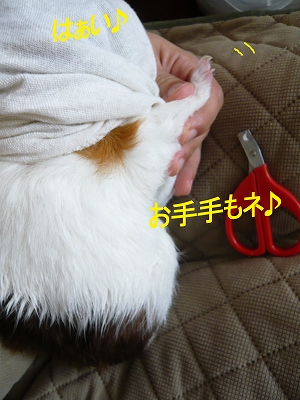b0181615_127399.jpg