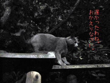 e0156015_23585721.jpg