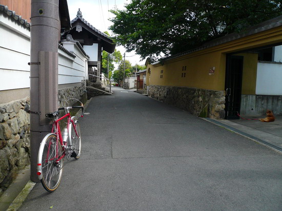 b0174217_232625.jpg