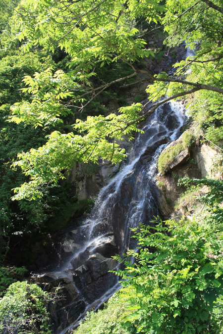 f0181018_2111231.jpg