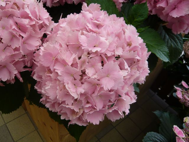 e0111220_21223753.jpg
