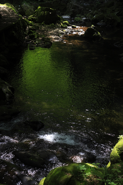 c0110922_20572158.jpg