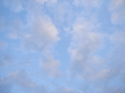 d0002224_20262476.gif