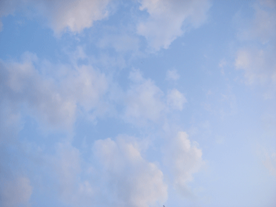 d0002224_20263567.gif