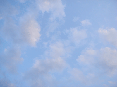 d0002224_2026478.gif