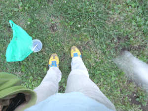 d0002224_20265823.gif