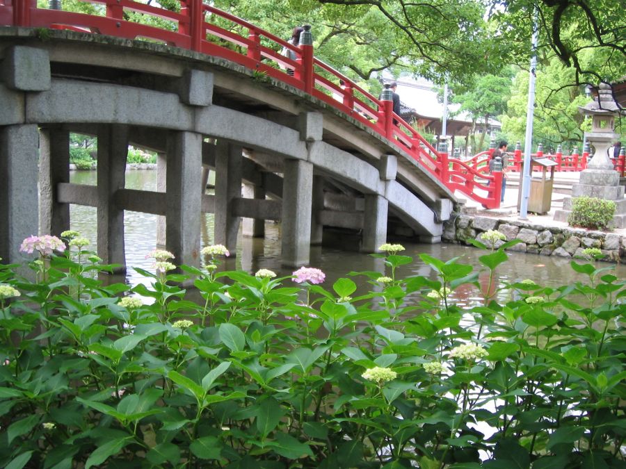 e0164326_1135559.jpg