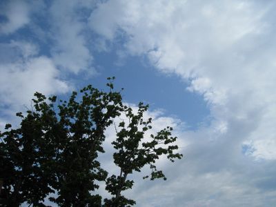 b0168830_1839578.jpg