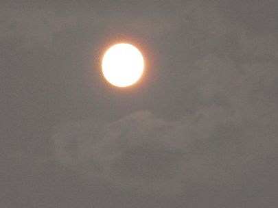 d0093936_21575239.jpg