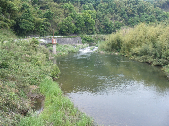 b0102639_00844.jpg
