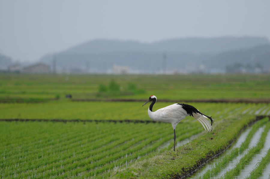 a0039245_01188.jpg