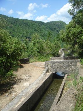 f0194446_125061.jpg