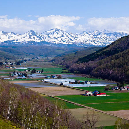 f0104847_19321075.jpg