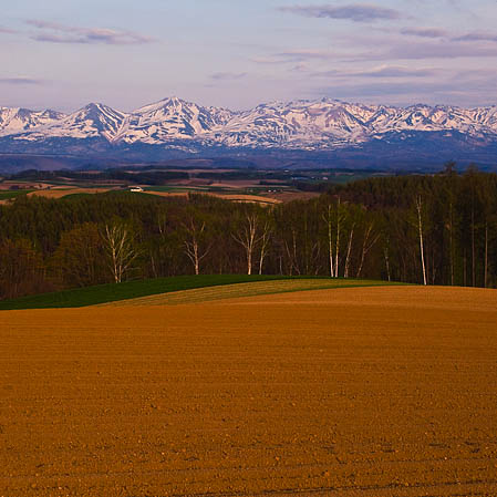 f0104847_19324530.jpg