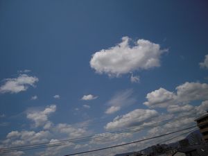 a0113650_2353246.jpg