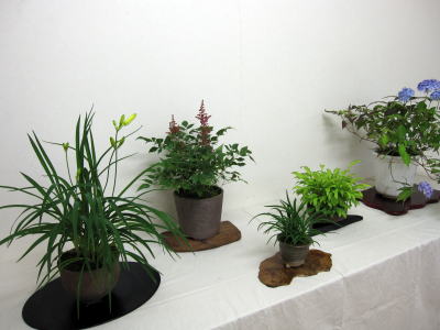 c0147952_148870.jpg