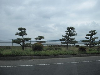 d0031853_6272676.jpg