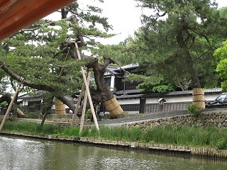 d0031853_7281511.jpg
