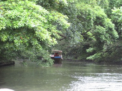 d0031853_7342114.jpg