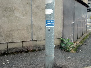 d0031853_7534926.jpg