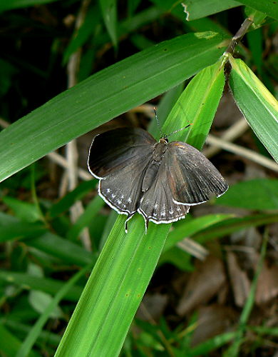d0091754_312832.jpg