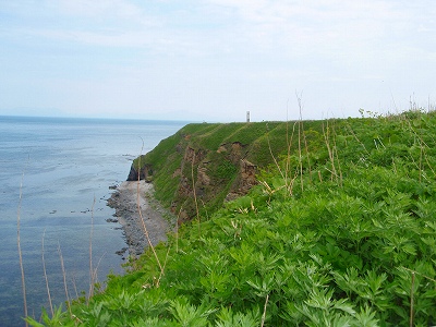 e0004756_921591.jpg