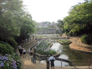 f0043559_1844316.jpg