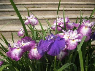 f0043559_1852792.jpg