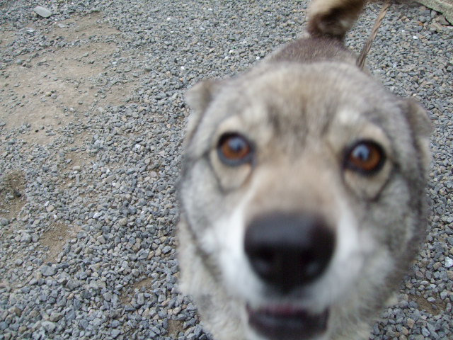 f0203260_014797.jpg