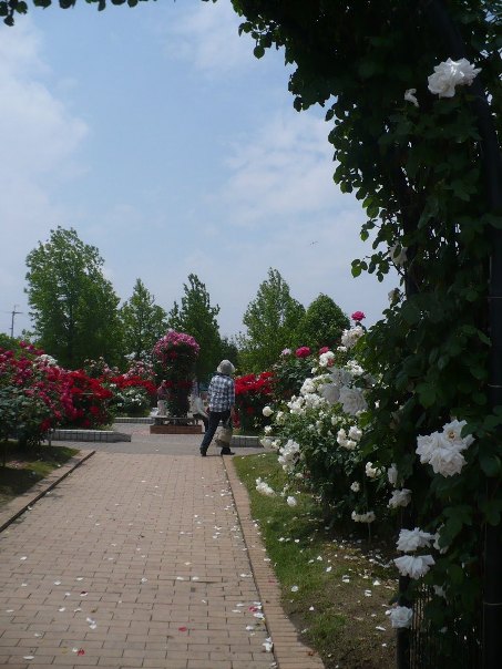 a0063364_2304615.jpg